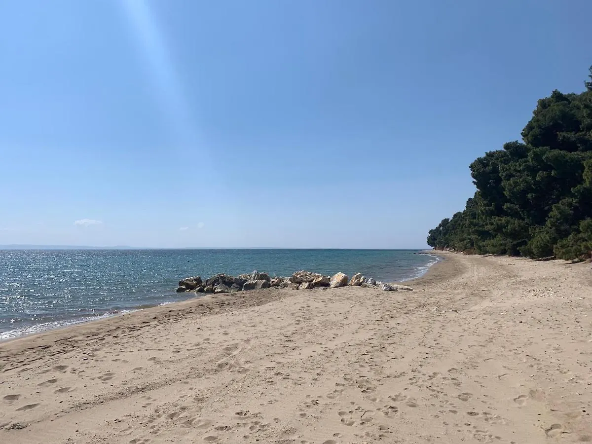 Sithonia Lodge 메타모르포시